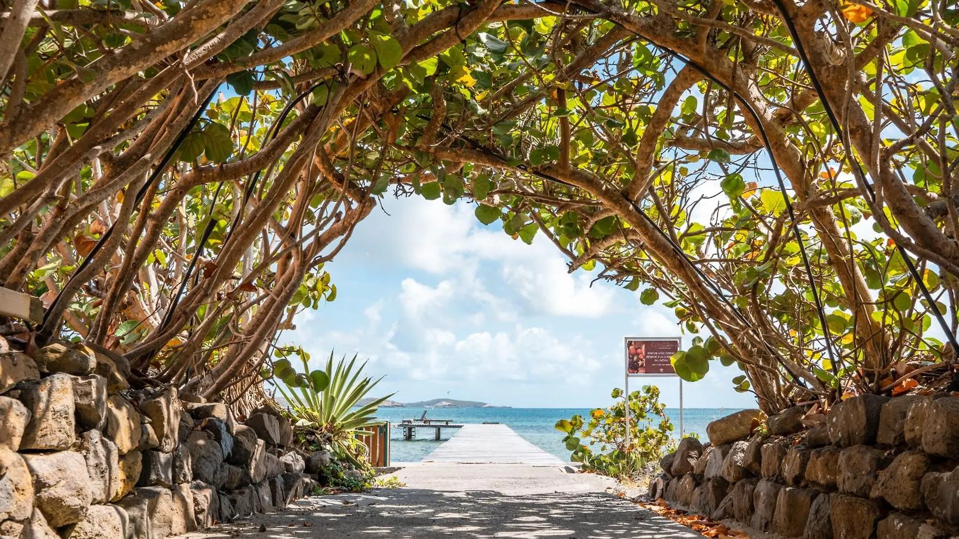 Villa Les Agaves Front De Mer Le François Martinica